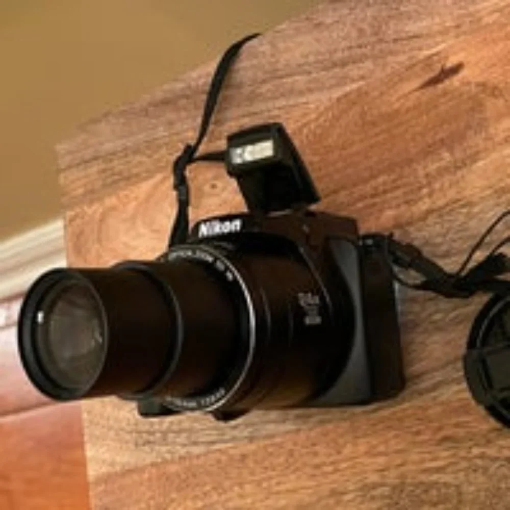 Nikon Coolpix P90 12.1MP Black Bridge Digital Camera
